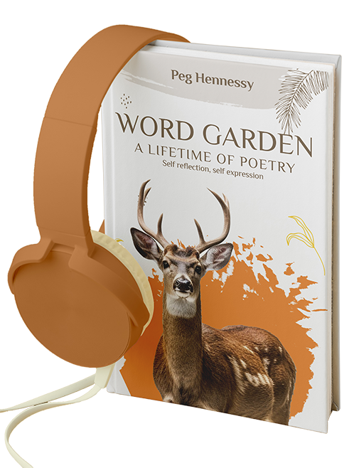 The American Book Studio